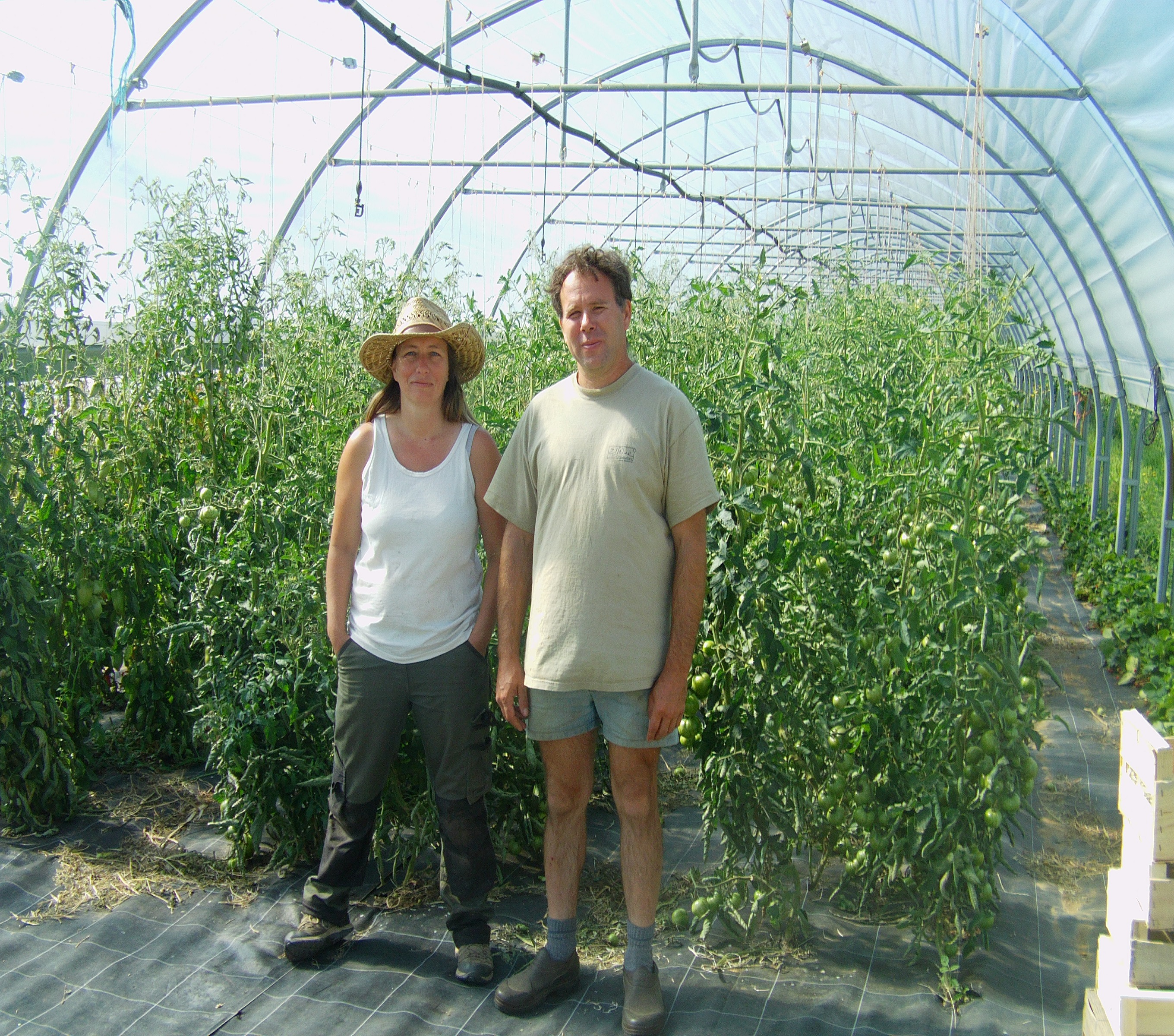 fermeauxabeilles (2).jpg